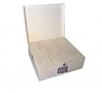 PlayBrix 1000 Stück in einer Holzkiste  