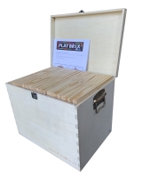 PlayBrix 1000 Stück in einer Holzkiste